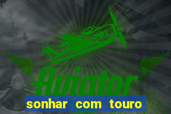 sonhar com touro bravo no mundo espiritual